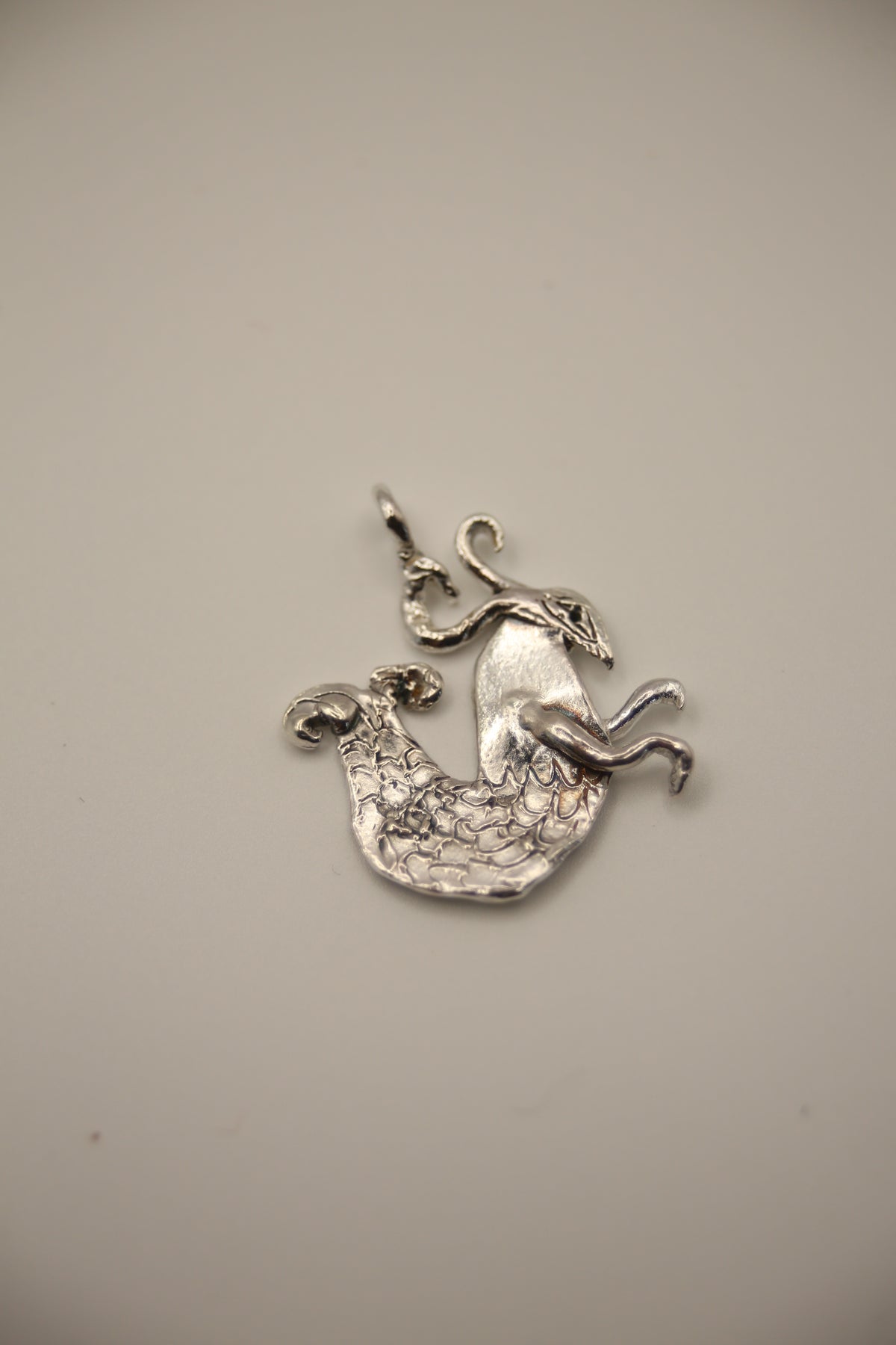 The Zodiac Pendants - Tabby Booth