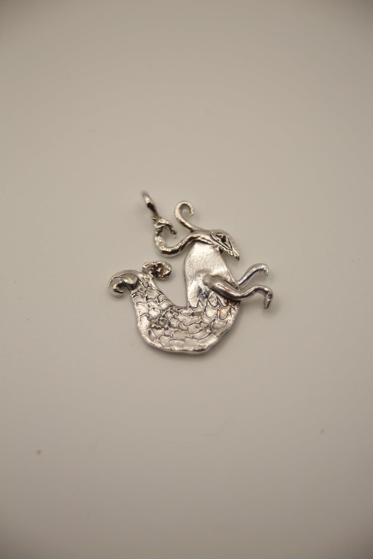 The Zodiac Pendants - Tabby Booth