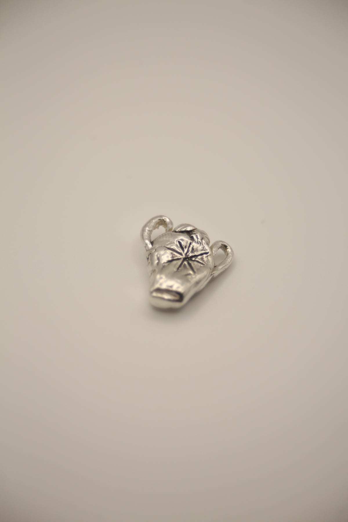 The Zodiac Pendants - Tabby Booth