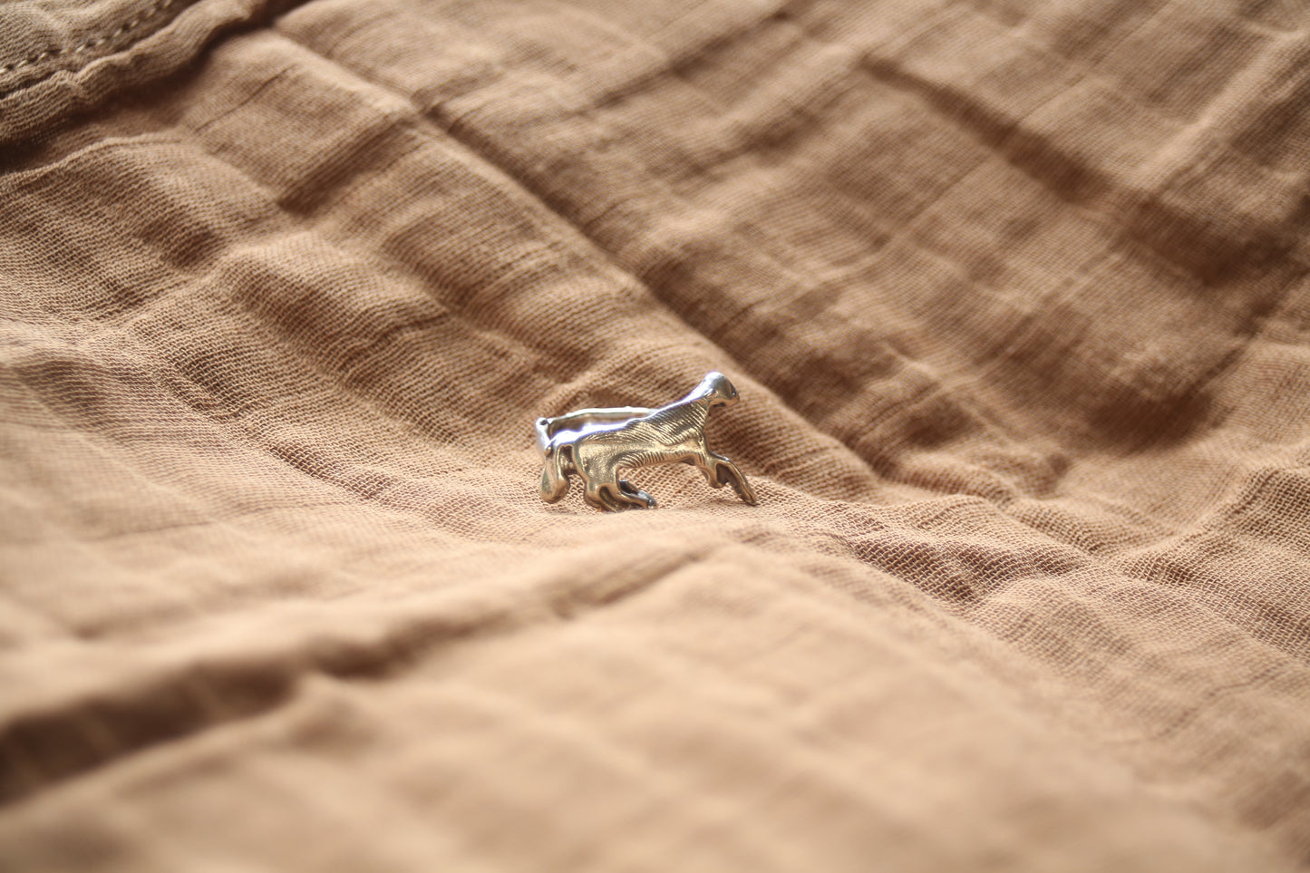 Horse Ring