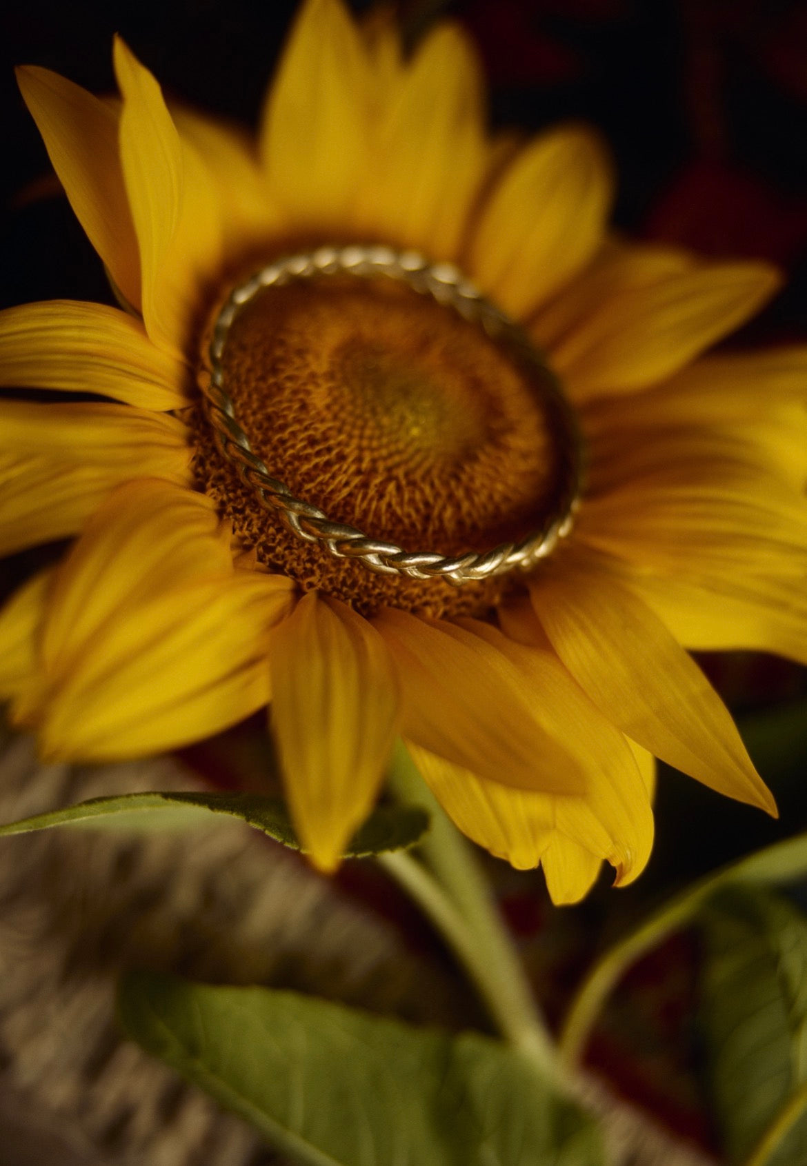 Slim Braided Bangle