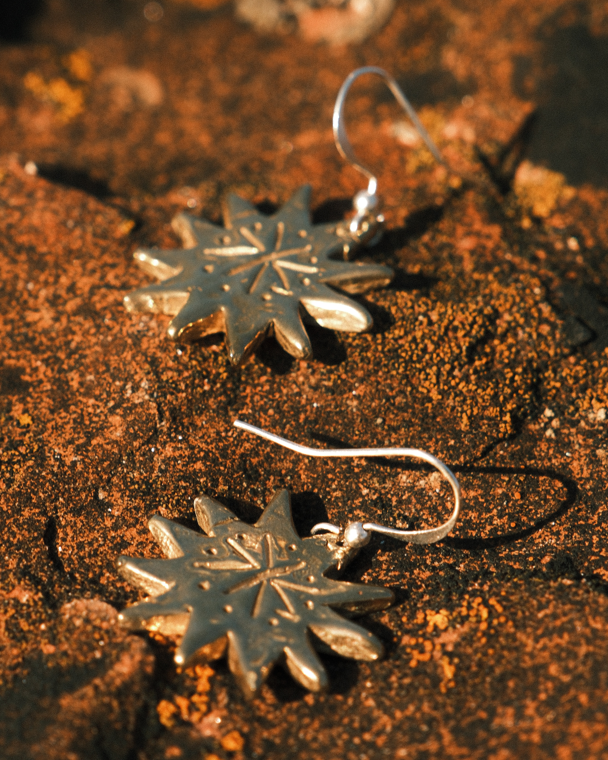 Sun Seeker Earrings - Morvern Graham