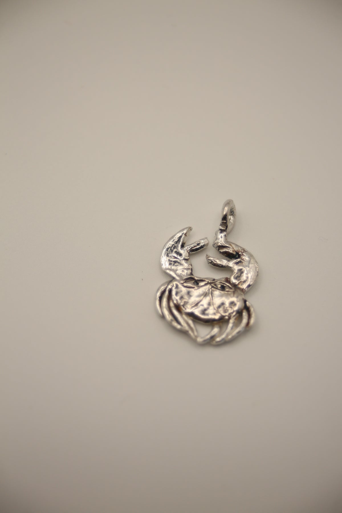 The Zodiac Pendants - Tabby Booth